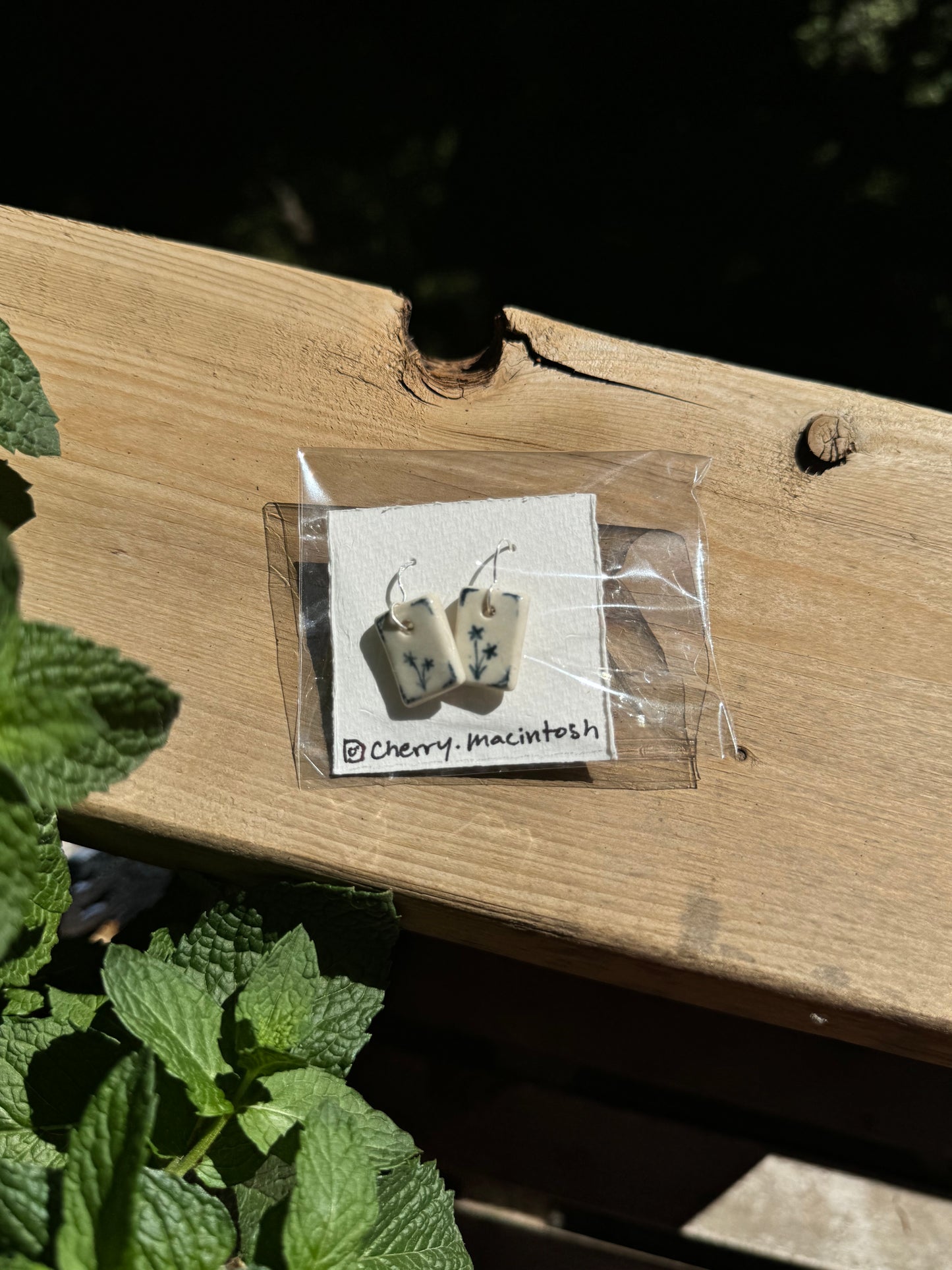 Handpainted earrings