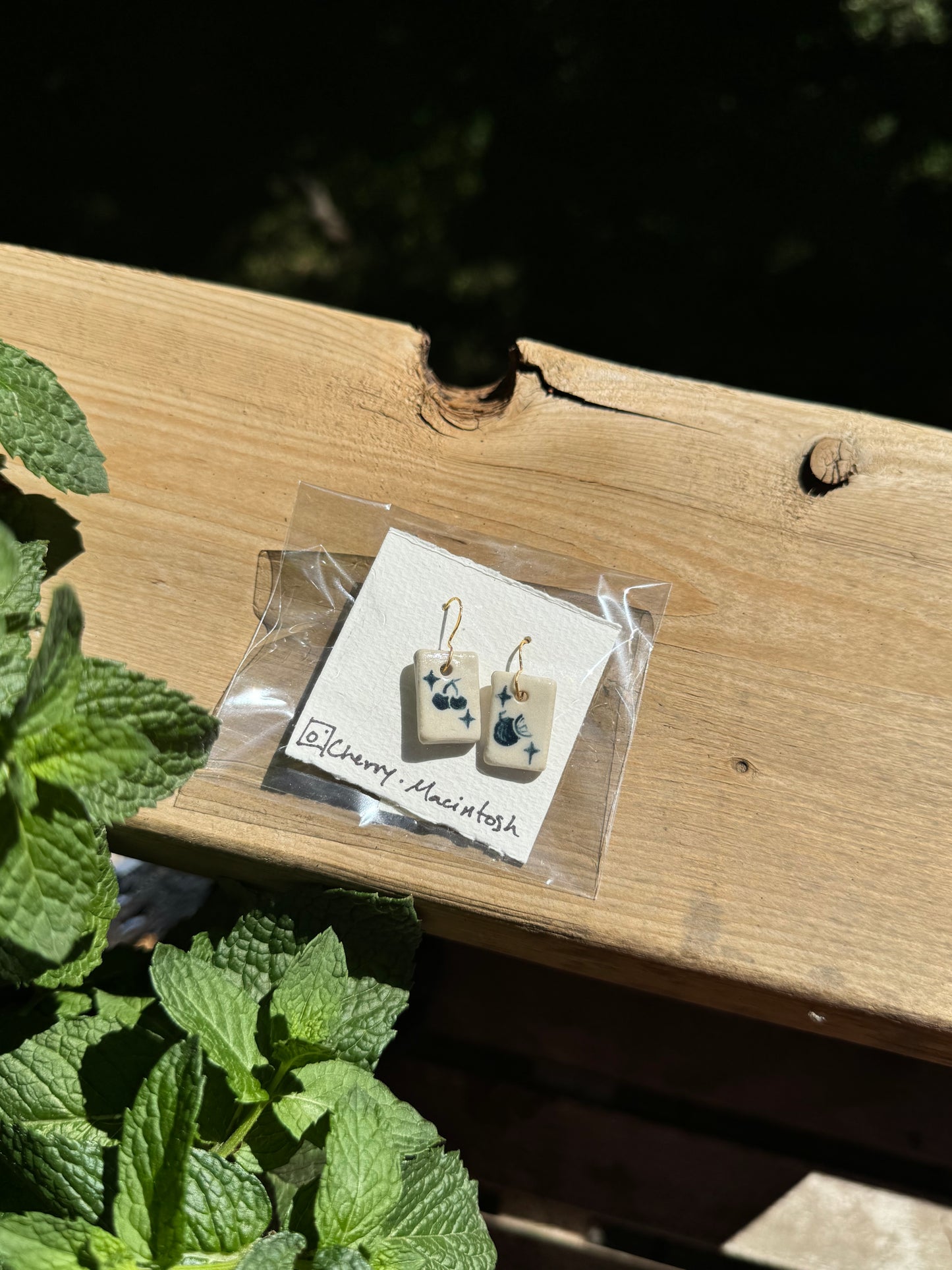 Handpainted earrings